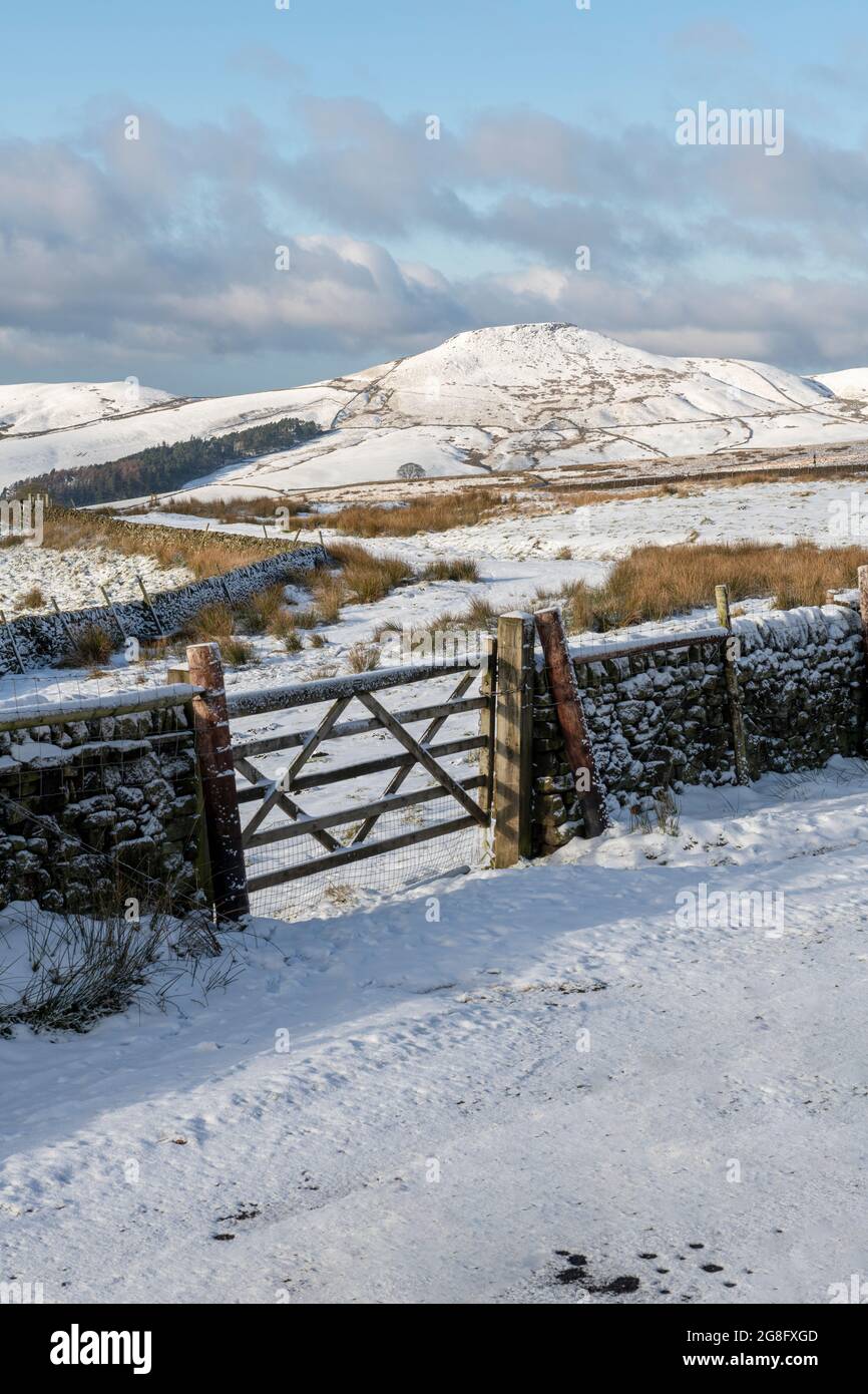 Winterszene mit Blick auf Shutlingsloe, Wildboarclough, Ceshire, England, Vereinigtes Königreich, Europa Stockfoto