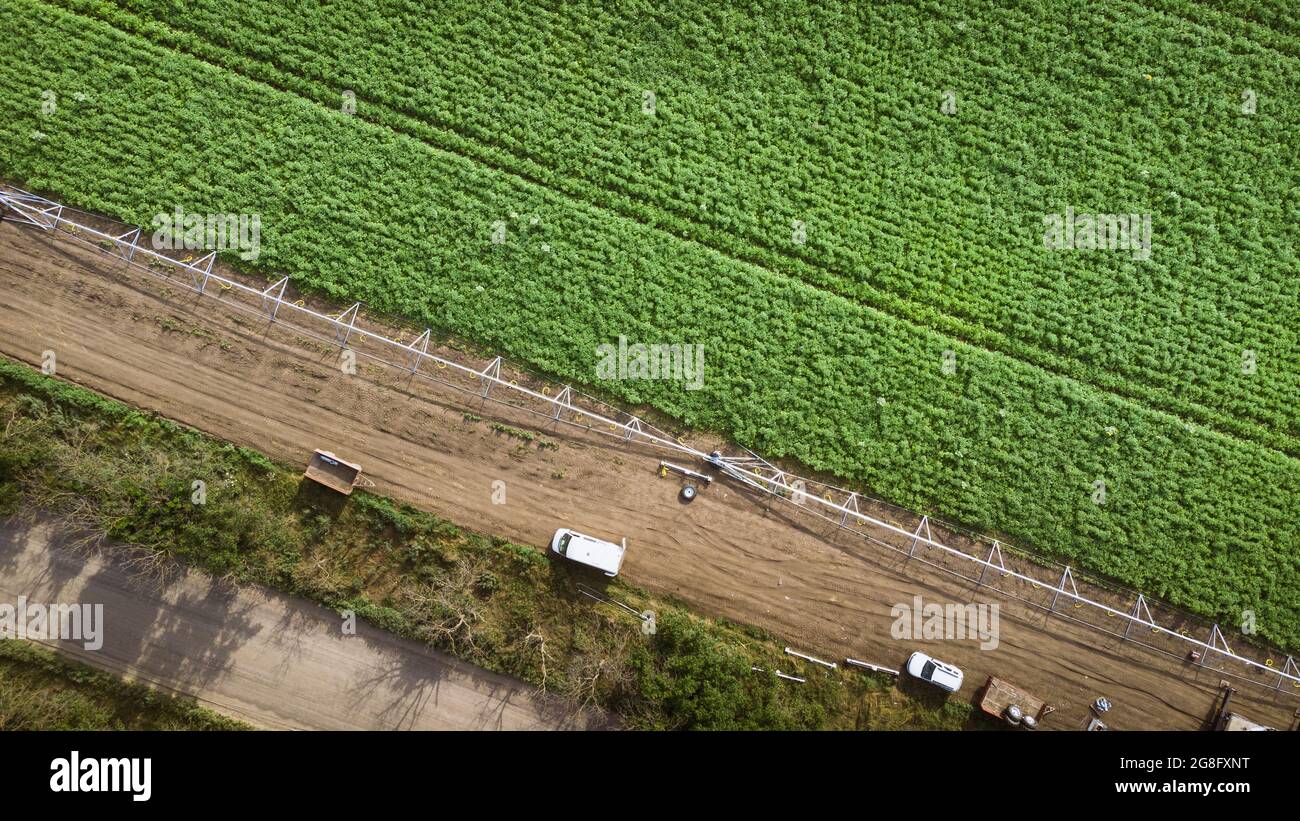 Installation eines Bewässerungssystems in einem Kartoffelfeld. DJI Mavic Mini 2 Drohnenfotografie Stockfoto