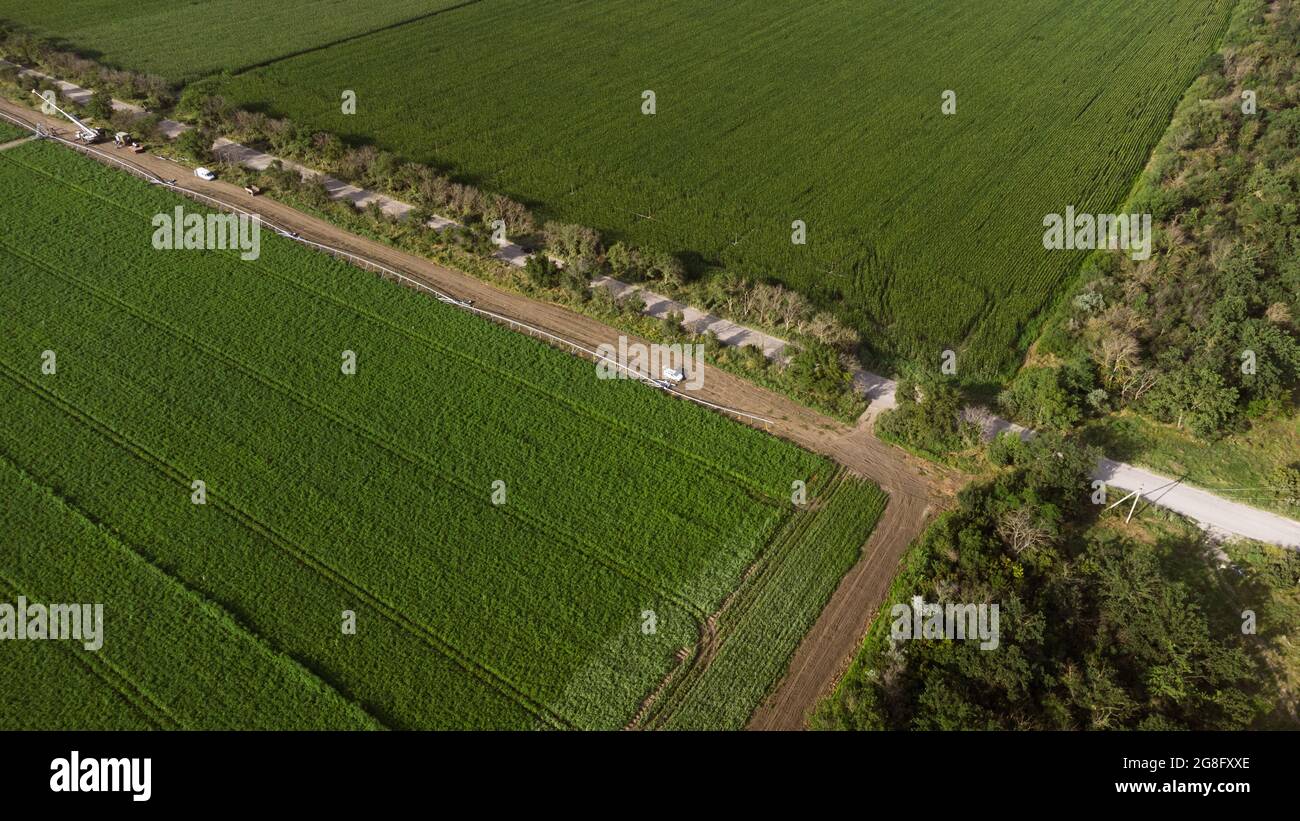 Potato Field Luftaufnahme. DJI Mavic Mini 2 Drohnenfotografie Stockfoto
