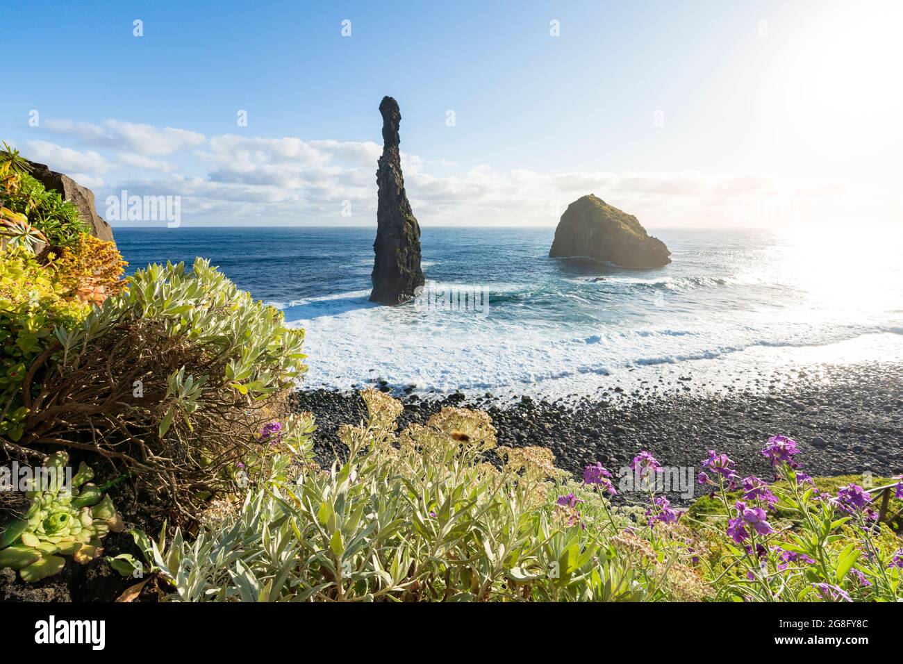 Blühende Pflanzen, die die Felsen von Ilheus da Rib und Ribeira da Janela, Porto Moniz, Madeira, Portugal, Atlantik, Europa Stockfoto
