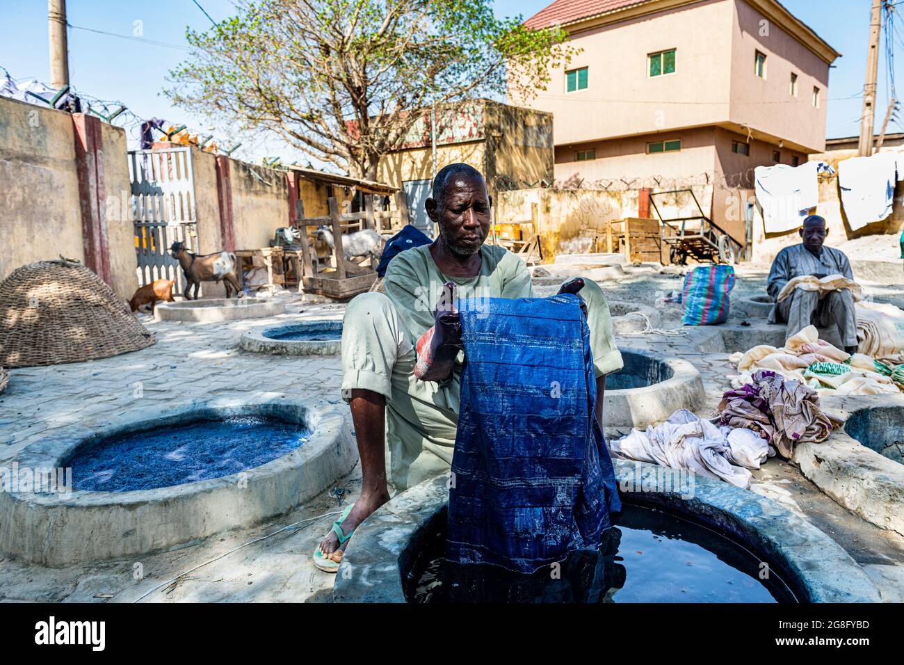 Mann färben Kleidung mit Indigo, färben Gruben, Kano, Kano Staat, Nigeria, Westafrika, Afrika Stockfoto