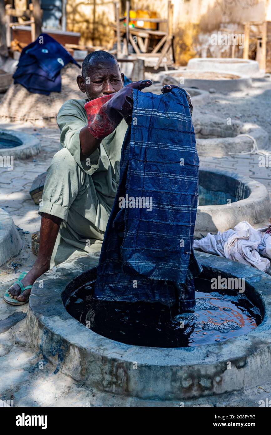 Mann färben Kleidung mit Indigo, färben Gruben, Kano, Kano Staat, Nigeria, Westafrika, Afrika Stockfoto