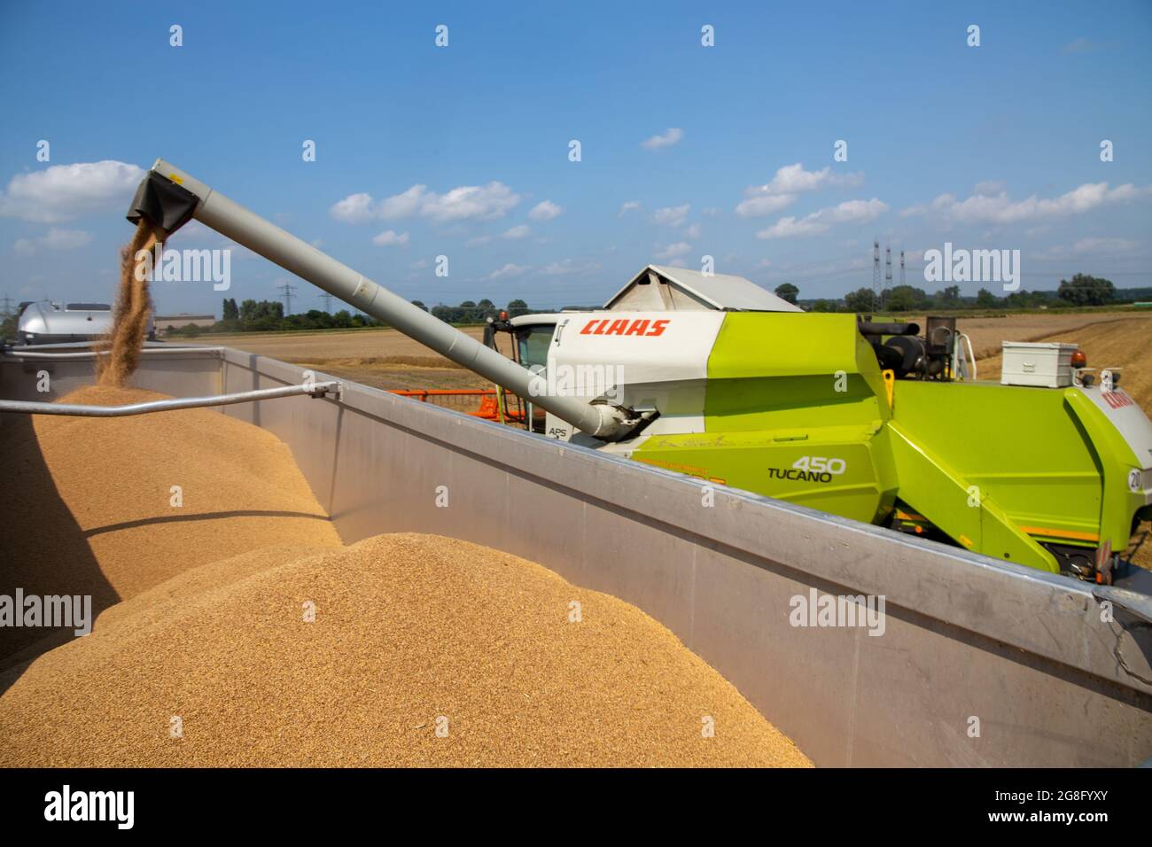 Getreideernte bei Hockenheim, Baden-Württemberg, Deutschland (20. Juli 2021) Stockfoto