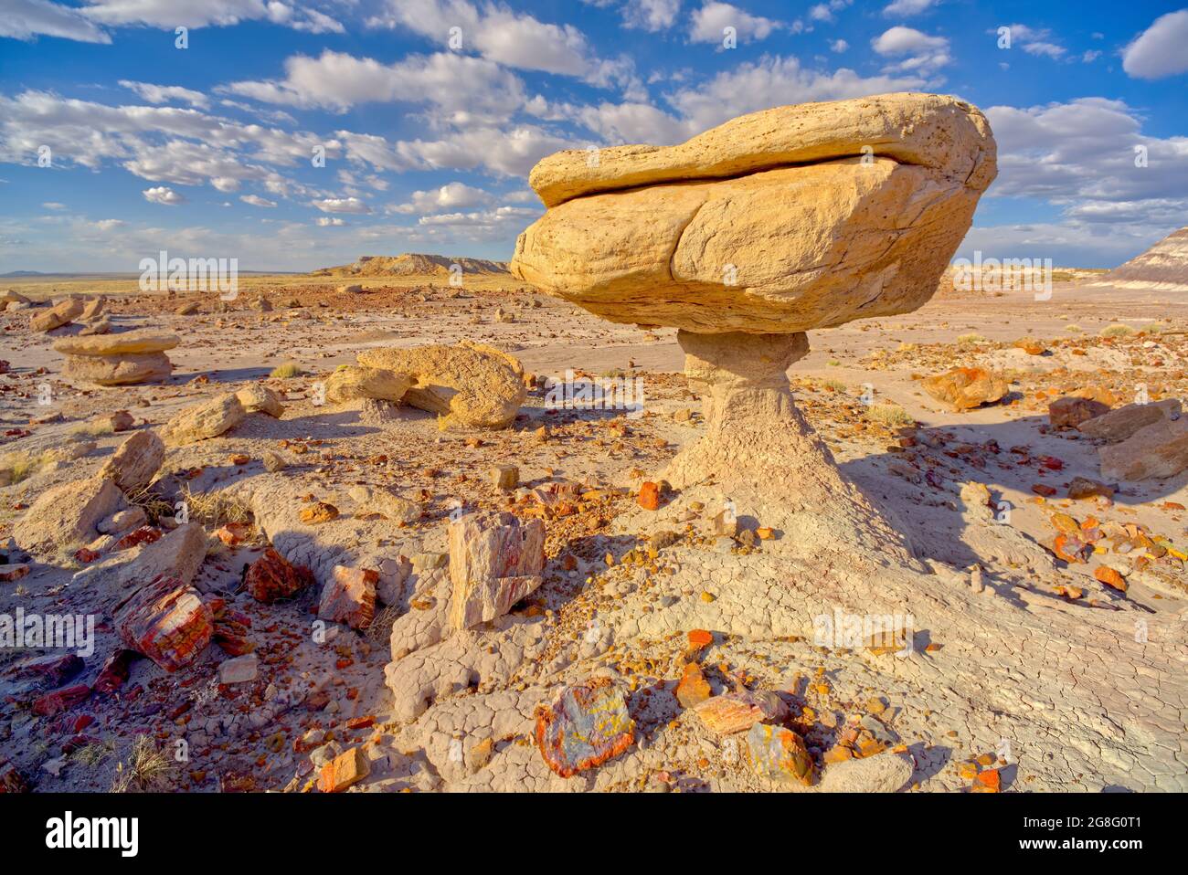 Ausgewogenes Gestein, das einem Toadstool ähnelt, versteinerte Hölzer, die um die Formation verstreut sind, Petrified Forest National Park, Arizona, USA Stockfoto