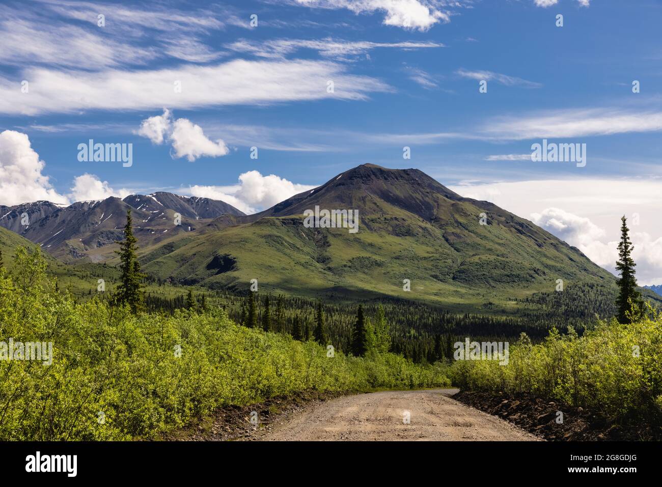 Im Frühsommer in der Wrangell-St. das lebhafte Grün der Mentasta-Berge entlang der Nabesna Road Elias National Park in Alaska. Stockfoto