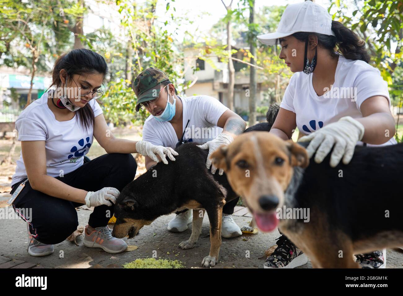 Freiwillige von Robinhood Animal Rescuer füttern Straßenhunde aus Sorge um eine Corona-Virus-Pandemie in Dhaka, Bangladesch, am 01. April 2020. Bangladesch hat laut IEDCR-Vertretern 54 Fälle bestätigt, darunter 6 Todesfälle aufgrund des Corona-Virus (COVID-19). Foto von Salahuddin Ahmed/Sipa USA Stockfoto