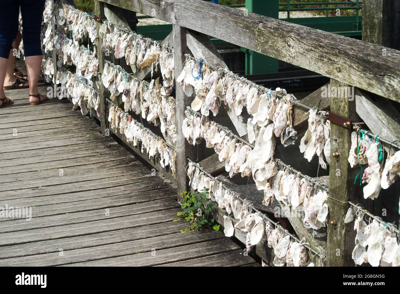 Auf einer Brücke auf der Insel Oléron hängen zwei von zwei Austernschalen Stockfoto