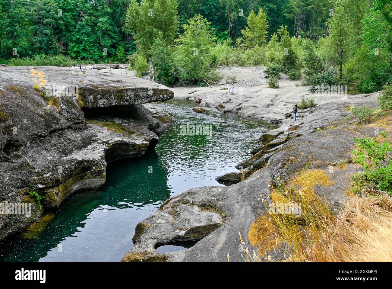 Top Bridge Community Park, Englishman River, in der Nähe von Parksville, British Columbia, Kanada Stockfoto