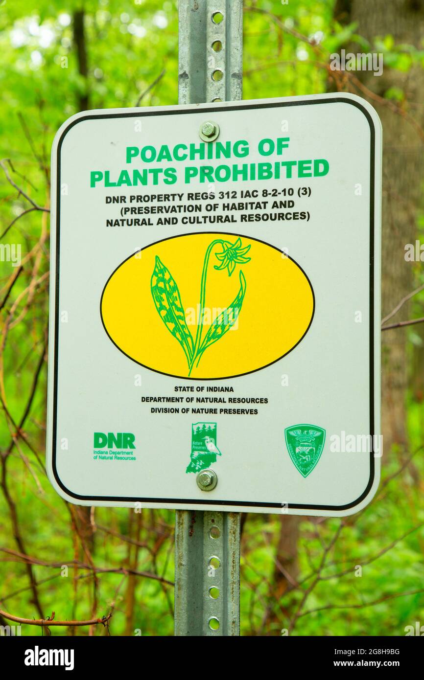 Regulation sign, Portland Arch Nature Preserve, Indiana Stockfoto