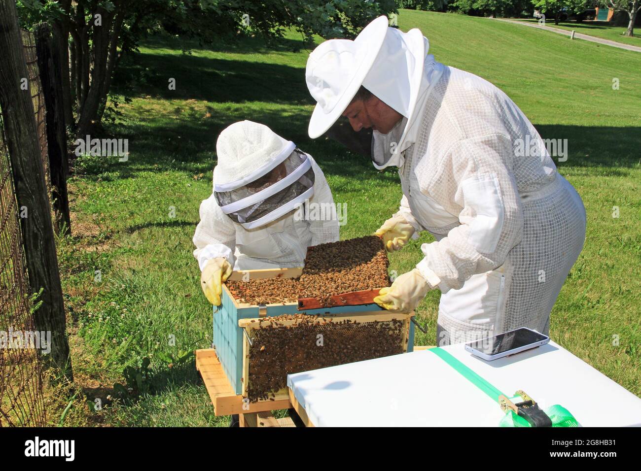Training a Child to Care for Bees Stockfoto