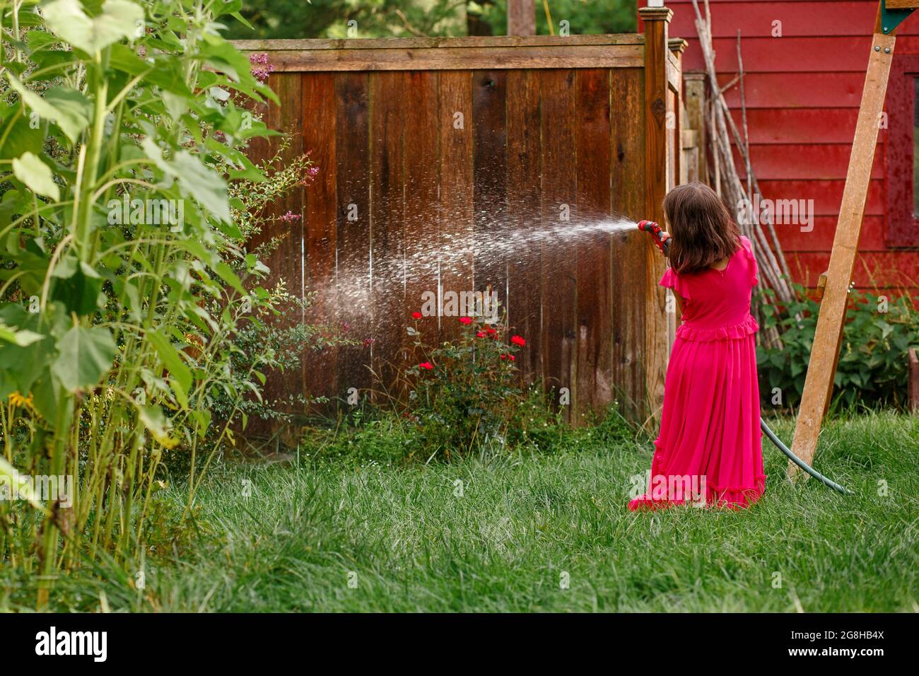 Rückansicht des Mädchens in langen roten Kleid wässern Rosen im Garten des Hinterhofs Stockfoto