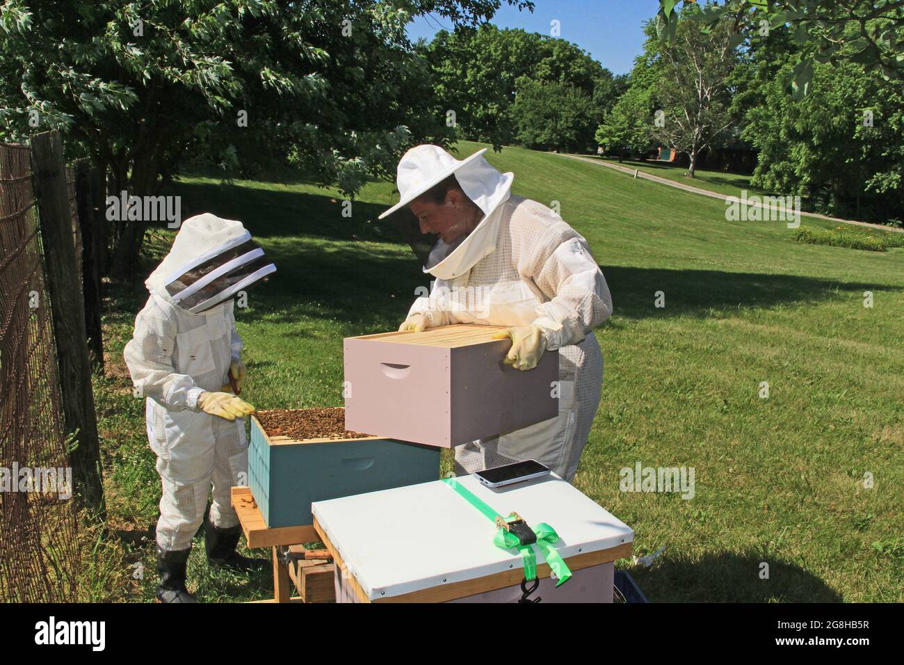 Hinzufügen einer weiteren Hive Box zu einem Bienenstock Stockfoto