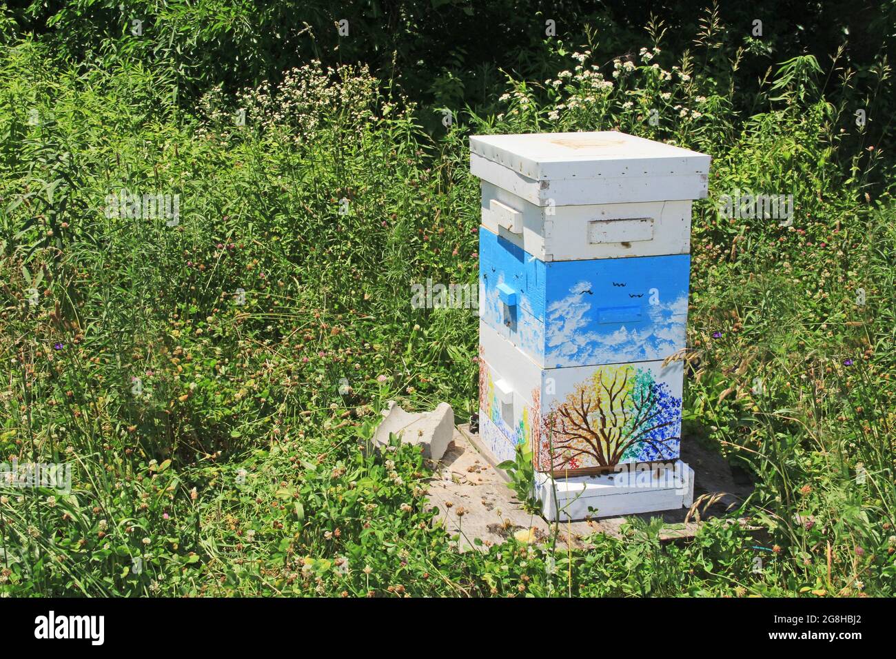 Farbenfrohe Bienenstöhe neben einem grünen Kopierbereich Stockfoto