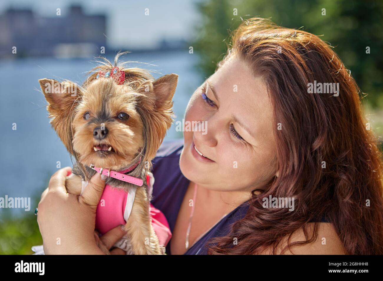Junge glückliche Frau mit yorkshire Terrier in rosa Kleid und Kragen gehen. Stockfoto
