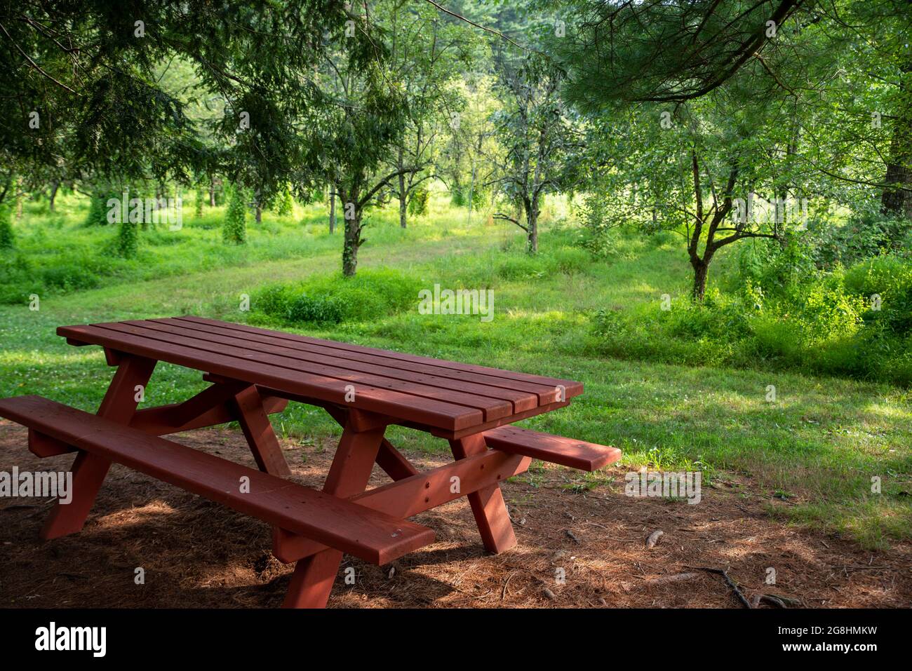 Roter Picknicktisch im idyllischen Sommergarten unter schattenspendenden Bäumen Stockfoto