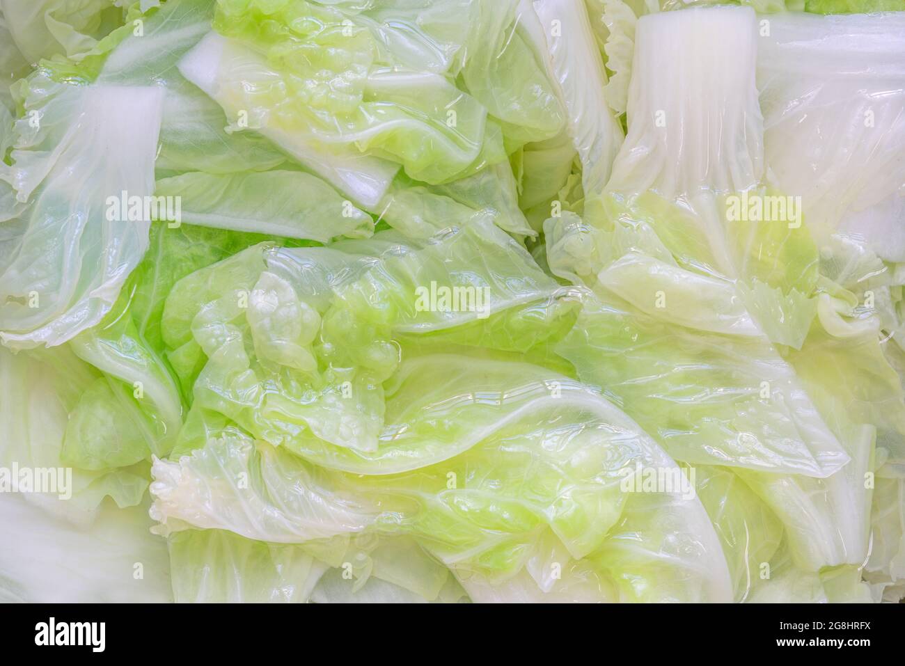 Beim Blanchieren von Gemüse oder Kohl, die in kaltem Wasser getränkt sind, füllen Sie den Bildrahmen mit Gemüse in Wasser. Stockfoto
