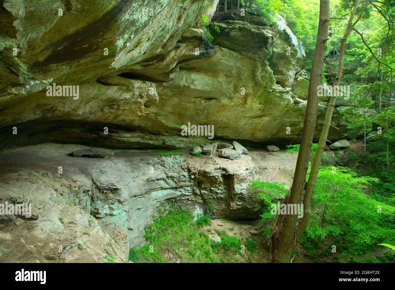 Kalksteinklippen, Hemlock Cliffs Special Place, Hoosier National Forest, Indiana Stockfoto