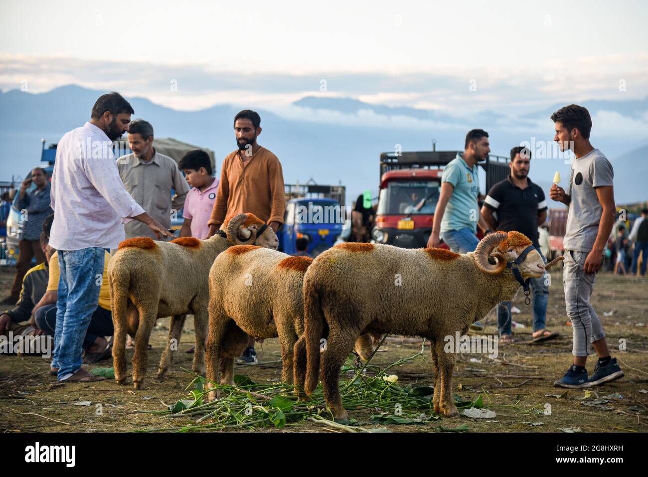 Srinagar, Indien. Juli 2021. Ein Schafsverkäufer besucht einen Kunden auf einem provisorischen Markt vor dem Heiligen Fest. Eid-ul-Adha wird am 21. Juli dieses Jahres in Indien und Pakistan beobachtet. In Saudi-Arabien wurde es heute am 20. Juli 2021 gefeiert. Es fällt in der Regel auf den zehnten Tag von Dhu al-Hijjah (der Monat der Pilgerfahrt für alle Muslime auf der ganzen Welt), der zwölften Monat des islamischen oder Mondkalenders Eid al-Adha. Kredit: SOPA Images Limited/Alamy Live Nachrichten Stockfoto
