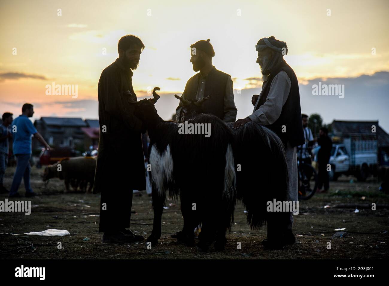 Srinagar, Indien. Juli 2021. Schafsverkäufer warten auf Kunden auf einem provisorischen Markt vor dem Heiligen Fest. Eid-ul-Adha wird am 21. Juli dieses Jahres in Indien und Pakistan beobachtet. In Saudi-Arabien wurde es heute am 20. Juli 2021 gefeiert. Es fällt in der Regel auf den zehnten Tag von Dhu al-Hijjah (der Monat der Pilgerfahrt für alle Muslime auf der ganzen Welt), der zwölften Monat des islamischen oder Mondkalenders Eid al-Adha. (Foto von Idrees Abbas/SOPA Images/Sipa USA) Quelle: SIPA USA/Alamy Live News Stockfoto