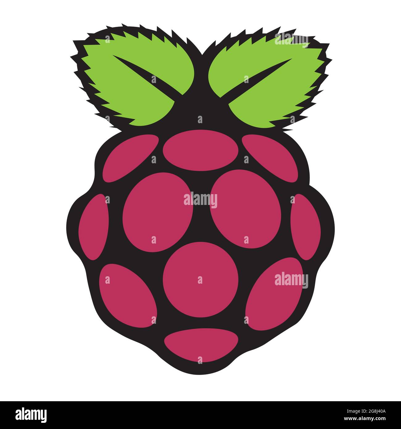 Raspberry Fruit nahtloses Muster Vektor-Illustration auf weißem Hintergrund Stock Vektor