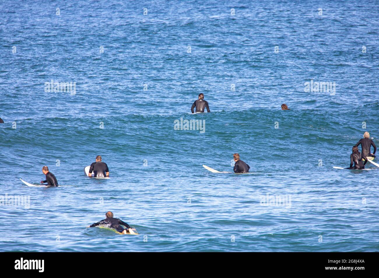 Surfer im Meer am Avalon Beach Sydney warten auf die nächste Surf-Welle, Sydney, Australien Stockfoto