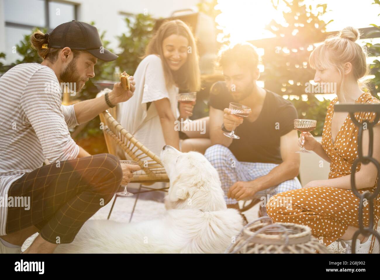 Freunde mit Hund und Getränke im Hinterhof Stockfoto