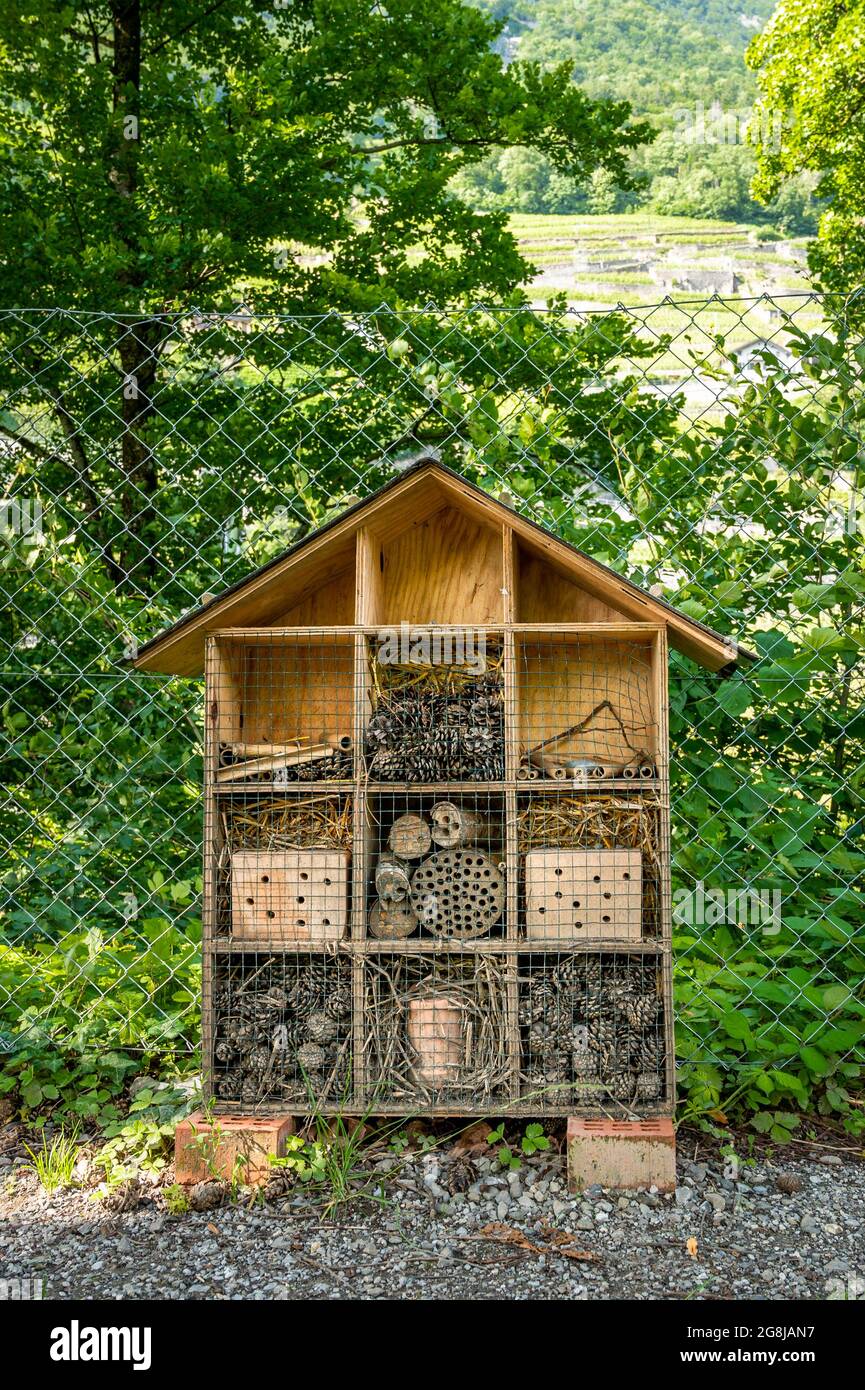 Insektenhaus aus Holz im Garten. Insektenhotel in natürlicher Umgebung. Insektenhotel in der Schweiz. Schutz oder Zuflucht für Insekten. Stockfoto