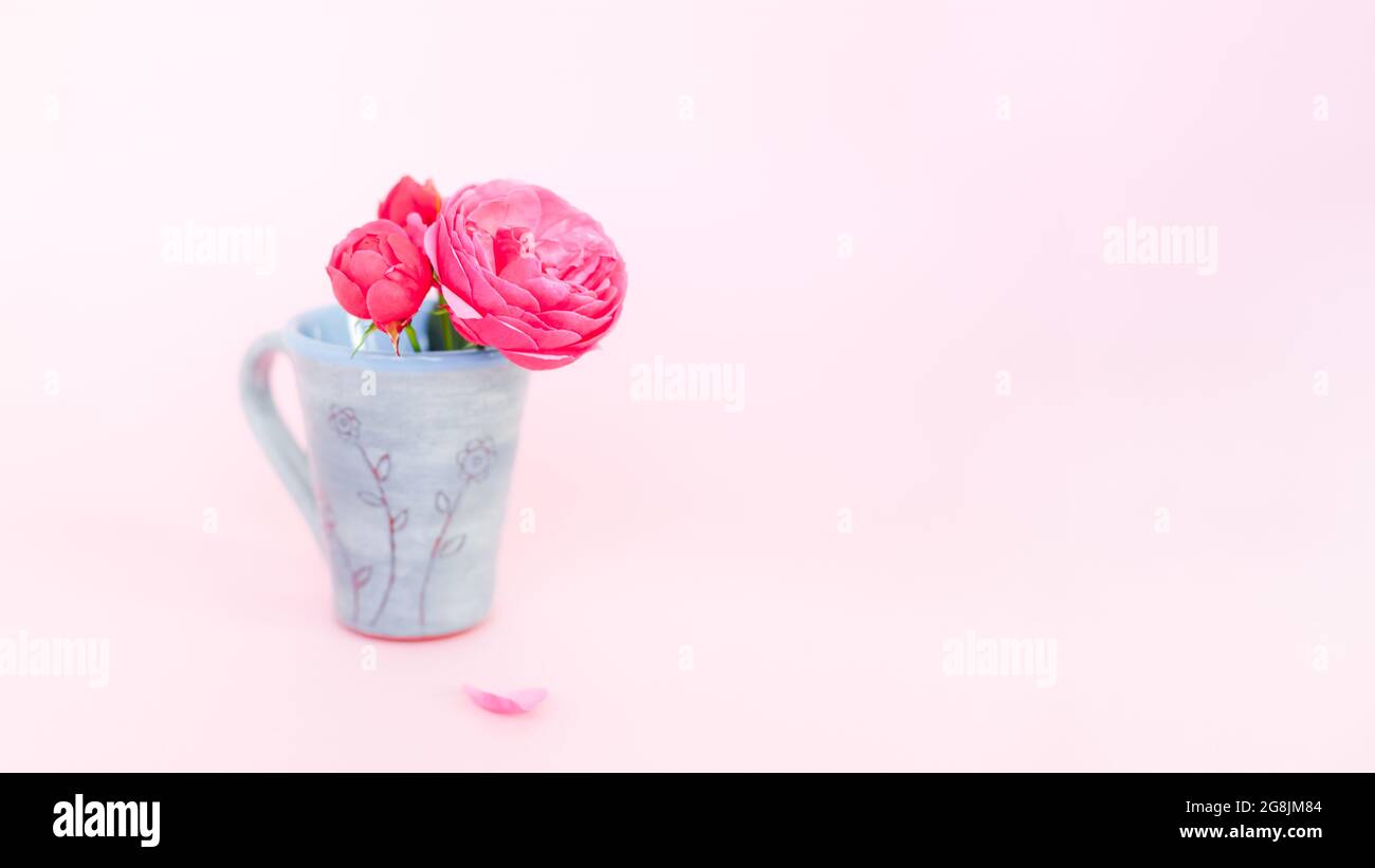 Schöner kleiner Strauß Rosen in Teetasse auf rosa Hintergrund mit Kopierfläche Stockfoto