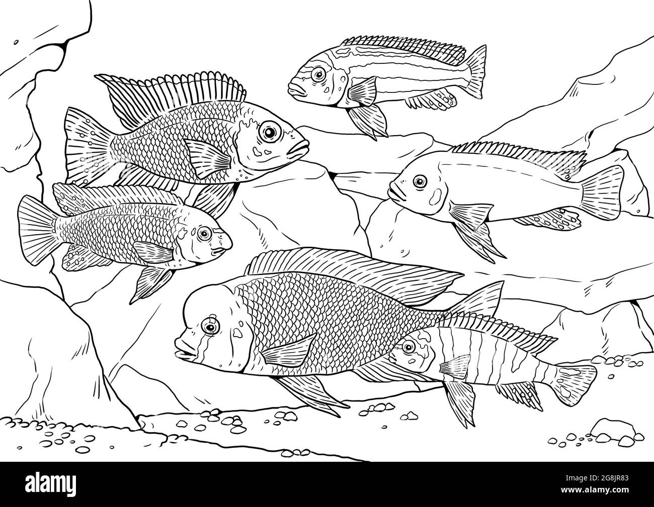 Aquarium mit Buntbarschen aus dem Malawisee zum Färben. Bunte afrikanische Fischvorlage. Bild für Kinder und Erwachsene. Stockfoto