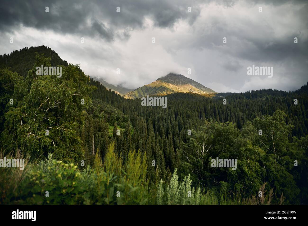 Schöne Landschaft des Berges schneebedeckten Gipfel und grünen üppigen Wald auf Almaty, Kasachstan Stockfoto