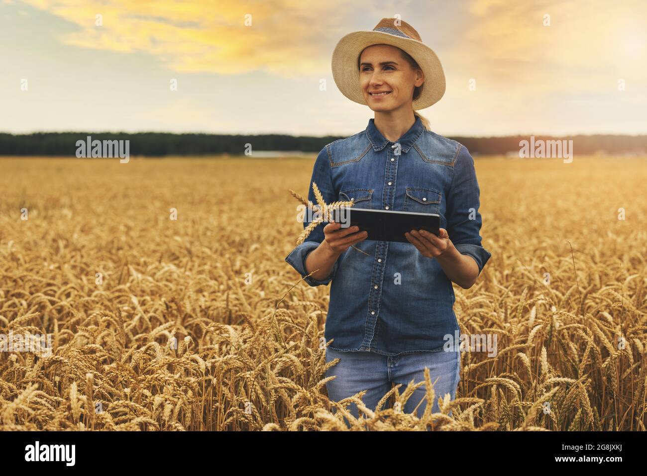Intelligente und moderne Landwirtschaft. Betriebsführung. Agrargeschäft. Junge Frau erfolgreiche Landwirtin im Getreidefeld mit digitalem Tablet in den Händen stehend Stockfoto