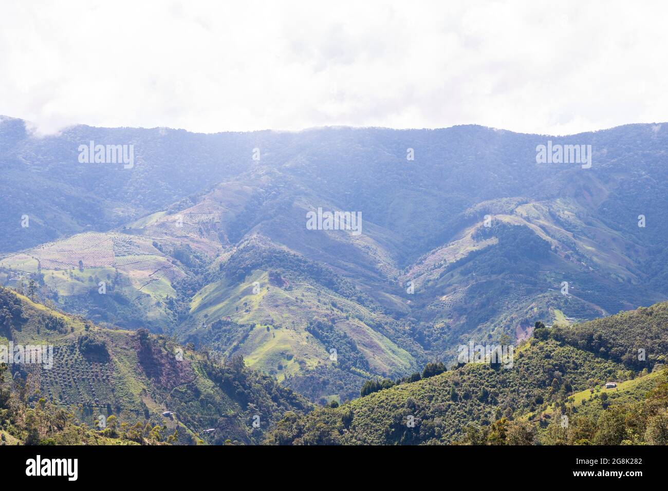 Berge der Kaffee Kulturlandschaft in Kolumbien Stockfoto