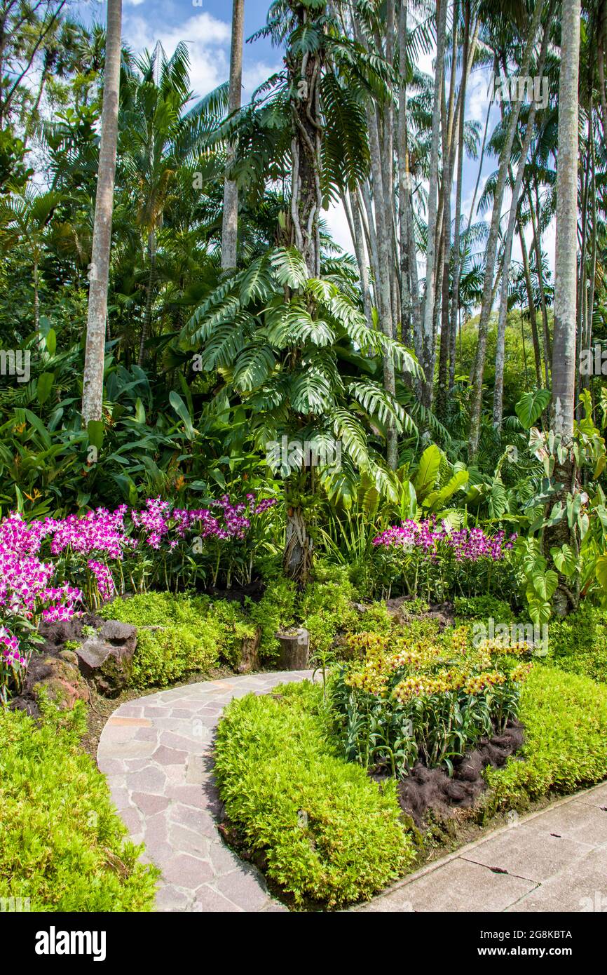 Blick auf den Garten des Orchid National Garden in den botanischen Gärten Singapurs. Mit über 1000 Arten und 2000 Hybriden auf dem Display. Stockfoto
