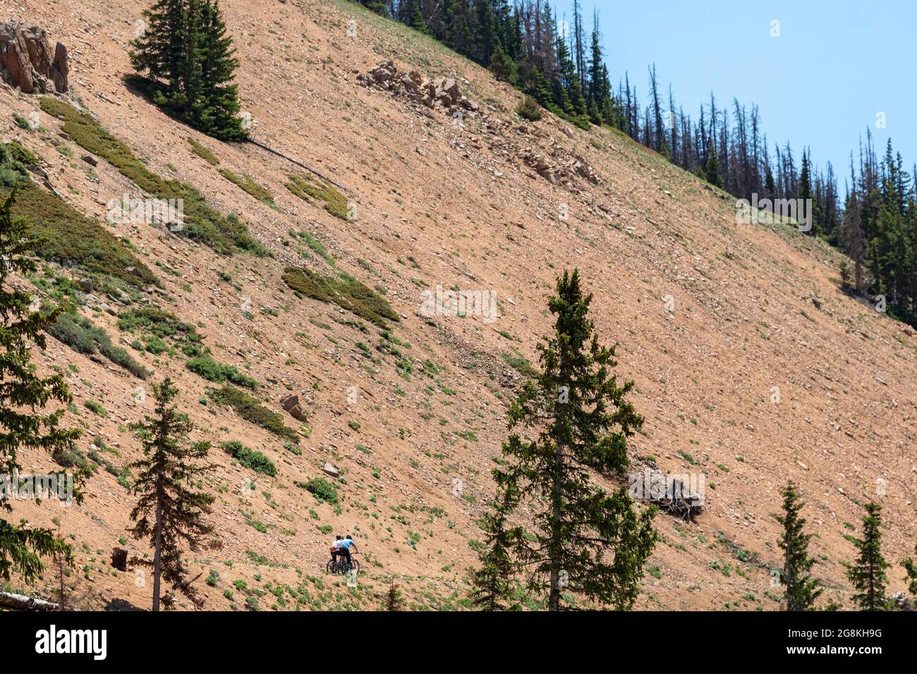 Monarch, Colorado - Mountainbiker auf einem Trail über dem Monarch Pass in der Nähe der Kontinentalscheide. Stockfoto