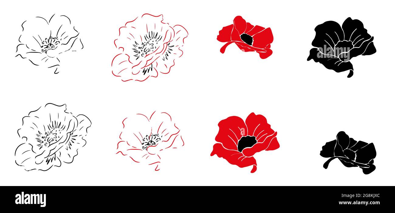 Mohnblume. Symbolsatz. Rote schwarze Blüten auf weißem Hintergrund. Isoliert Stock Vektor