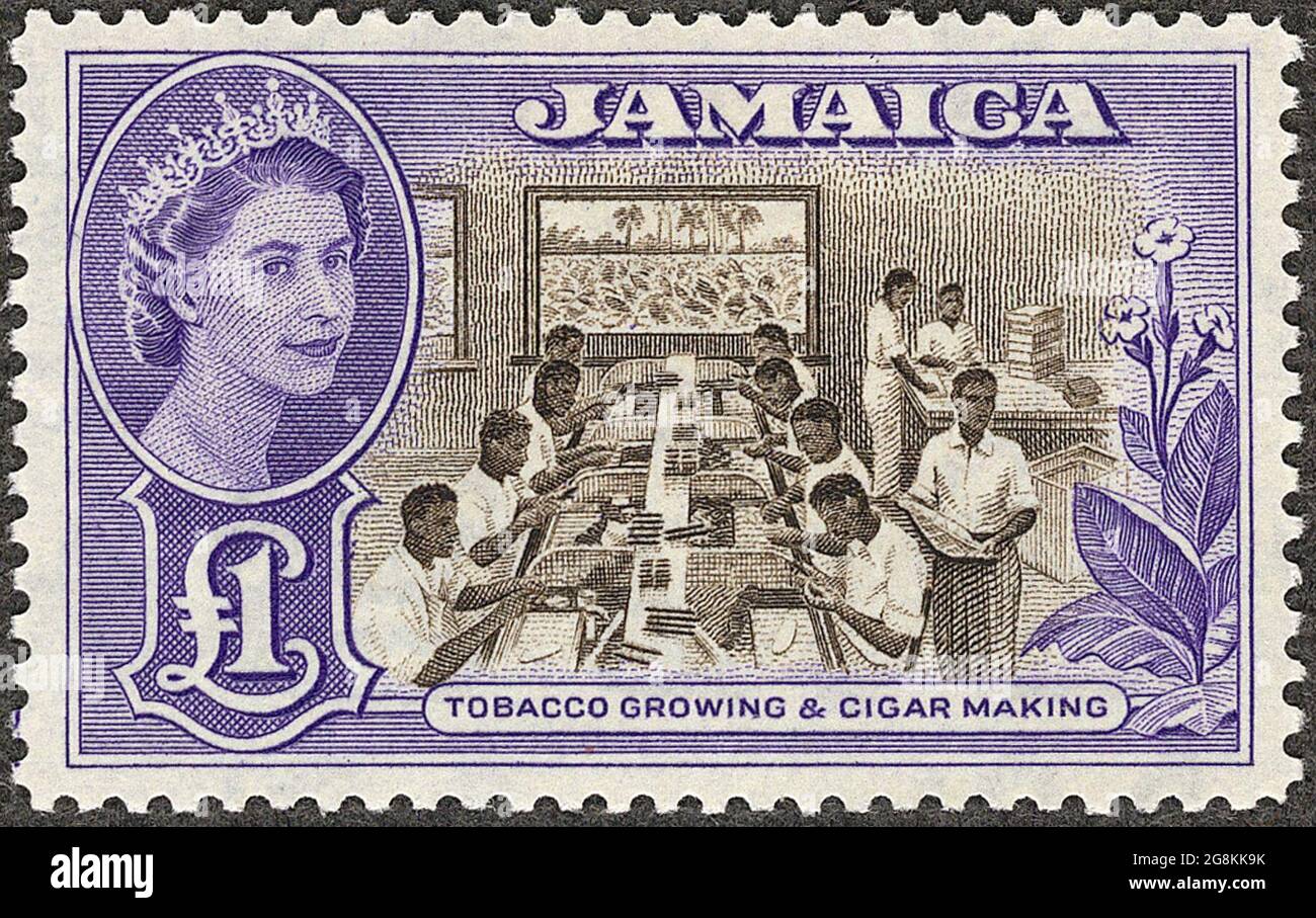 Jamaikanische Briefmarke, die gedruckt wurde, aber 1956 nicht für Jamaika ausgestellt wurde und den Tabakanbau und die Zigarrenherstellung darstellt. 1 Pfund blau mit Porträt von Königin Elizabeth Stockfoto