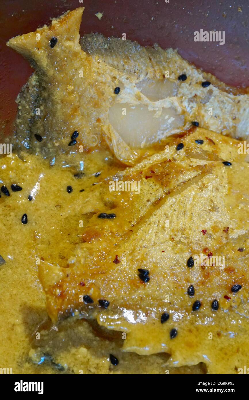 Butterfische fisch Stücke auf Platte, scharfe indische Gericht. Beliebt bei den Bengalen und Südasien für seinen Geschmack. Stockfoto