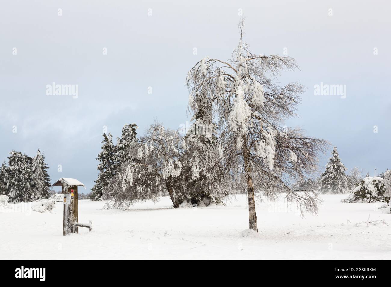 Verschneite Landschaft und Bäume, ein versunkener Holzpfosten mit Schildern gegen den trüben Himmel. Stockfoto