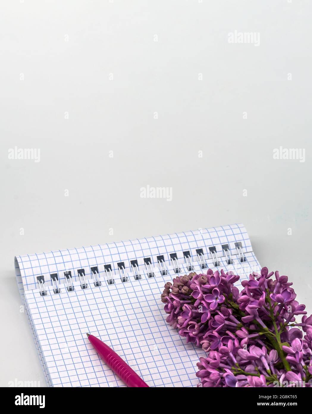 Notebook-Flieder auf weißem Hintergrund. Spiralnotizbuch und Stift. Notizblock mit Stift und Blumen. Stockfoto