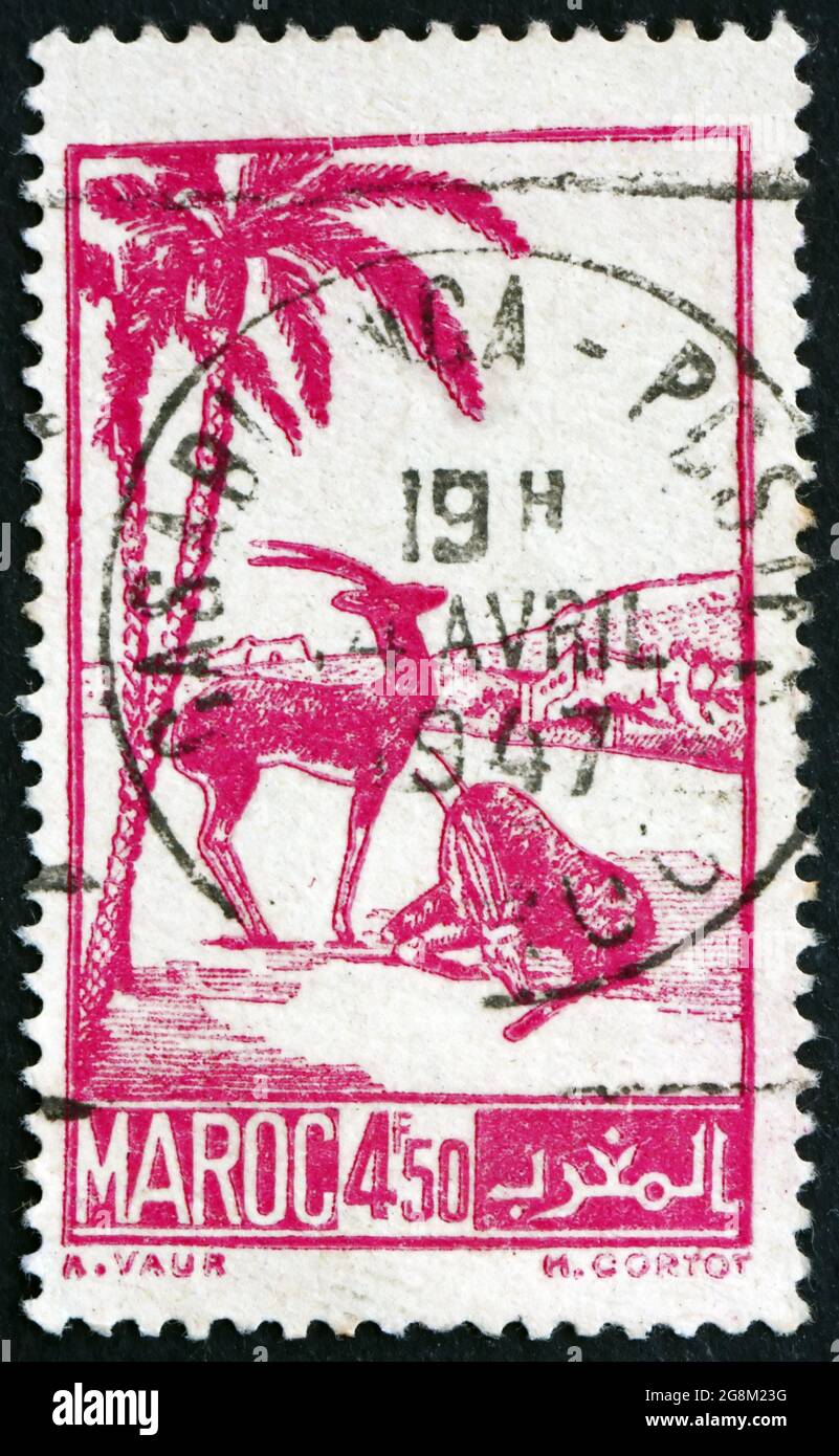 FRANZÖSISCH-MAROKKO - UM 1942: Eine in Französisch-Marokko gedruckte Marke zeigt Scimtar-gehörnte Oryxes, um 1942 Stockfoto