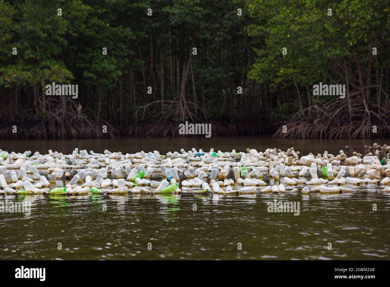 Austernzucht der östlichen thailändischen Landwirtschafts-Technik, verwenden sie alte Plastikflasche zu hängen und füttern Auster in natürlichem Meerwasser. Stockfoto