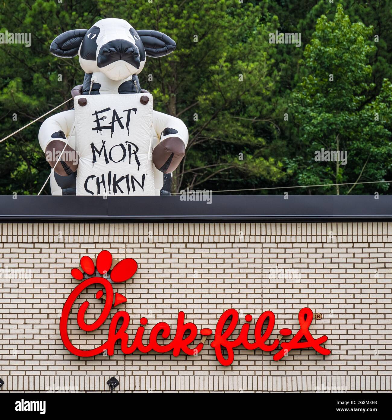 Aufblasbare „Eat Mor Chikin“-Kuh auf einem neuen Chick-fil-A für die große Eröffnung des neuen Lokals in Snellville (Metro Atlanta), Georgia. Stockfoto