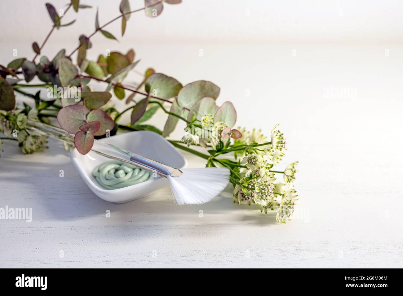 Kosmetische Feuchtigkeitsmaske in einer kleinen Schüssel mit Pinsel und ein paar grünen Blumenästen auf einem hellen Hintergrund mit Kopierraum, ausgewählter Fokus, schmal d Stockfoto