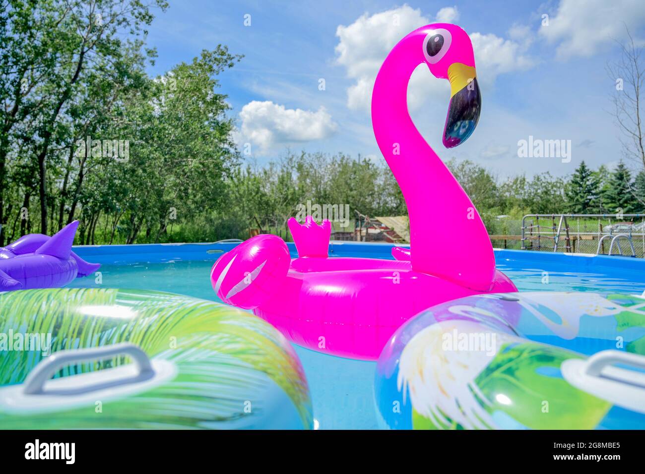 Aufblasbares Flamingo Spielzeug, Schwimmbad Stockfoto