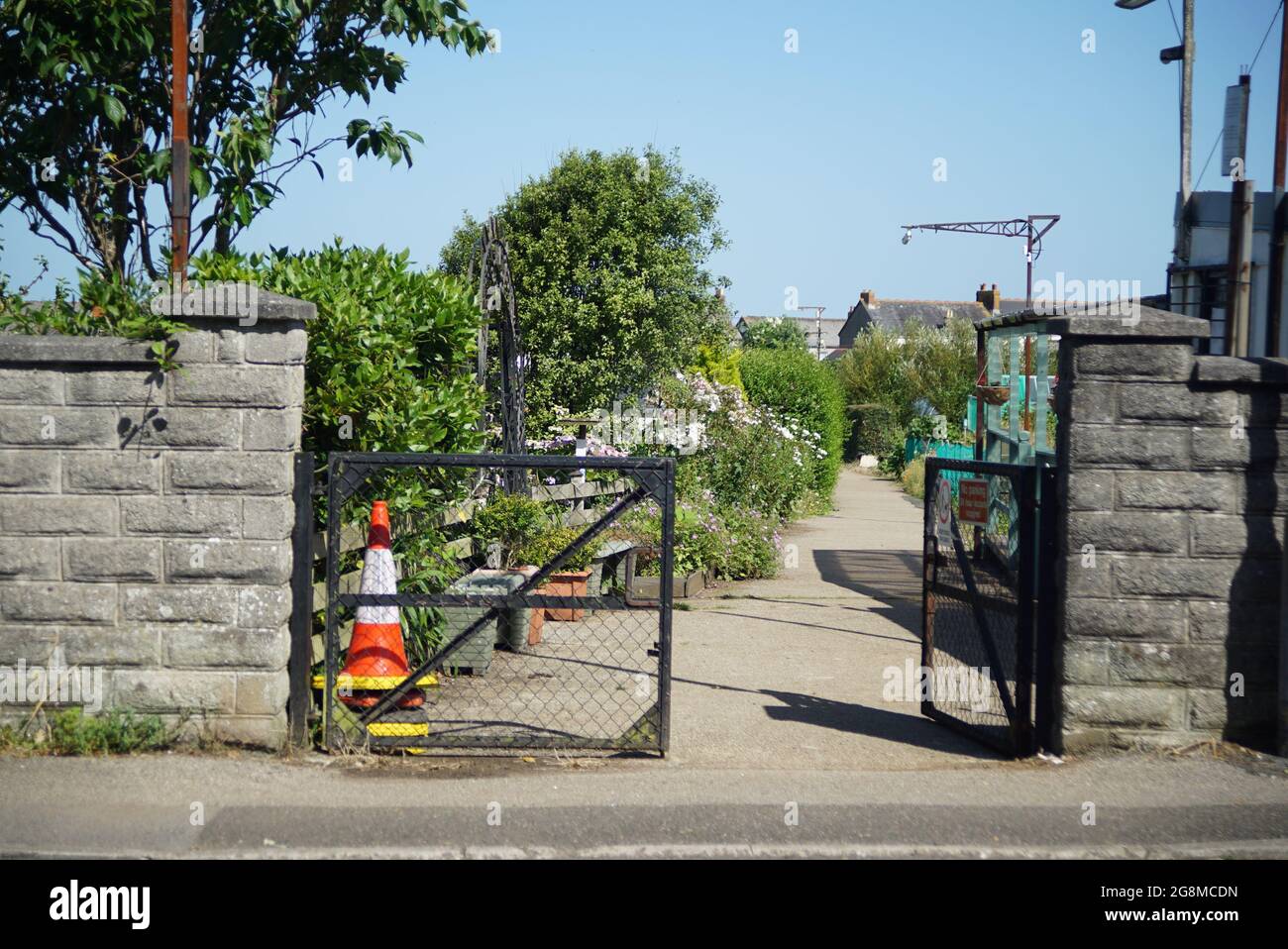 Blumen und andere Pflanzen, die im Frühlingssonne wachsen Stockfoto