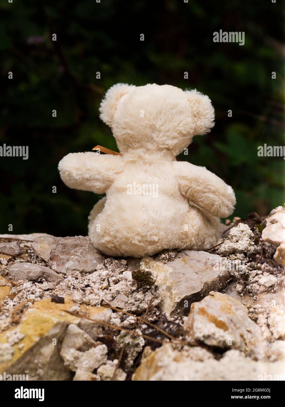 Buchcover-Konzept - Kindheit - Teddybär an Steinmauer Stockfoto
