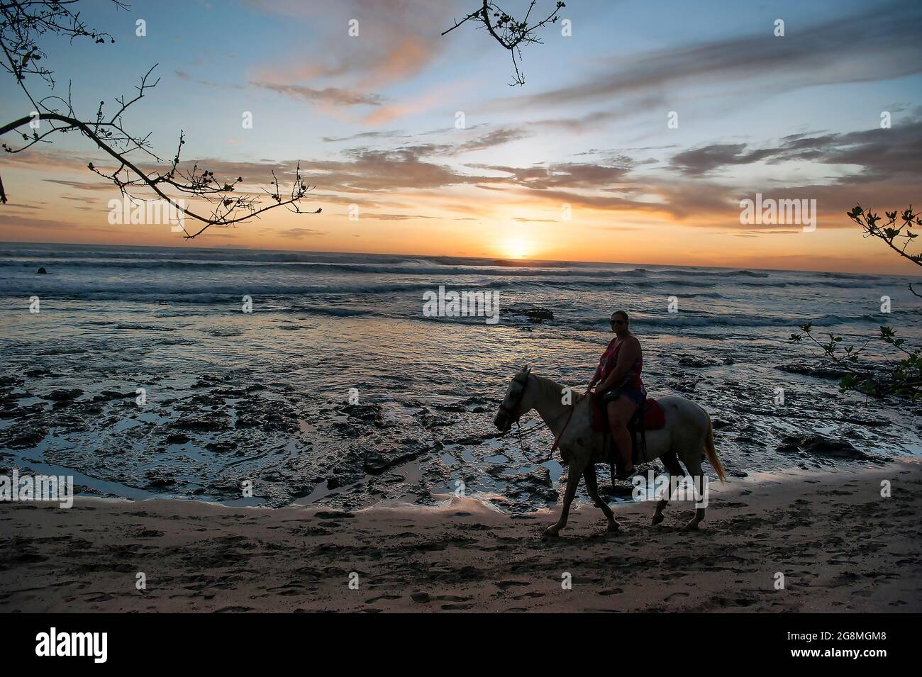 Ein Einzelreiter bei Sonnenuntergang an einem Strand in Tamarindo, Costa Rica. Stockfoto