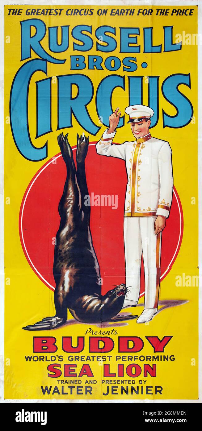 Altes und altes Zirkusposter (Russell Brothers, 1930er Jahre) Russel Bros. Circus präsentiert Buddy, den größten darstellenden Seelöwen der Welt. Stockfoto