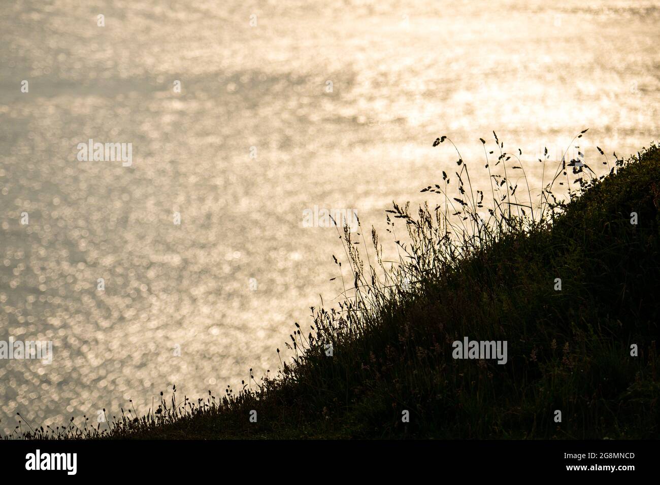 Clifftop Gräser silhouetted vor einem sonnenbeschienenen Meer Stockfoto