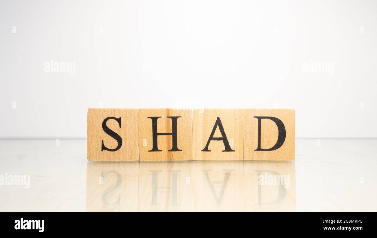 Der Name Shade wurde aus hölzernen Buchstabenwürfeln kreiert. Meeresfrüchte und Essen. Nahaufnahme. Stockfoto